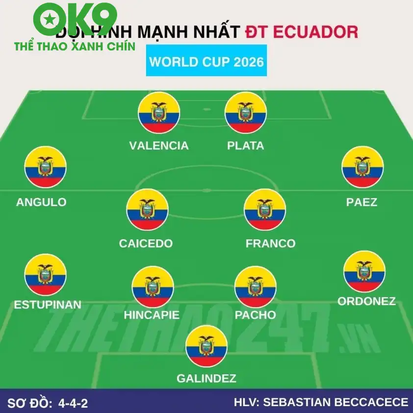 Đội hình dự kiến Ecuador Đội hình dự kiến Ecuador